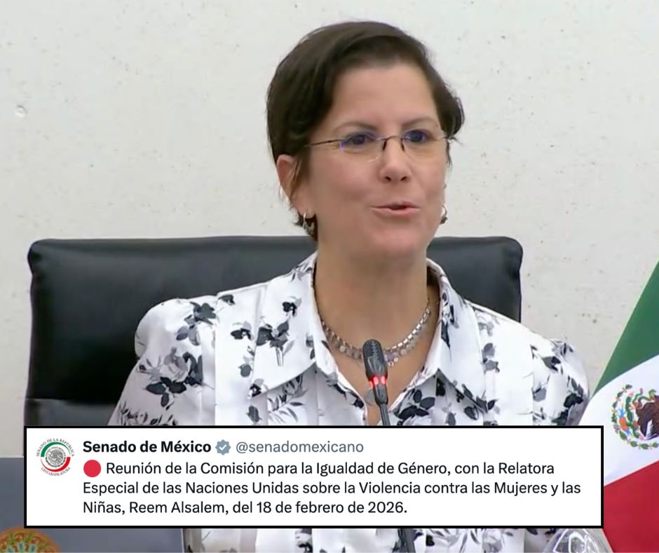 ONU advierte: Impunidad en feminicidios y recortes presupuestales frenan protección a mujeres y niñas