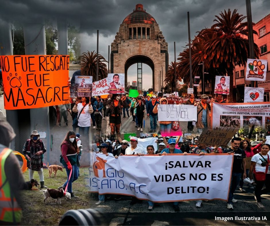 Bloqueos en puerta: Animalistas anuncian cierres viales tras disputa por Refugio Franciscano